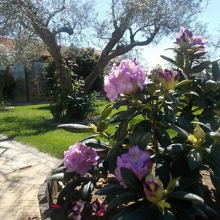 Casa Das Azenhas Country house *